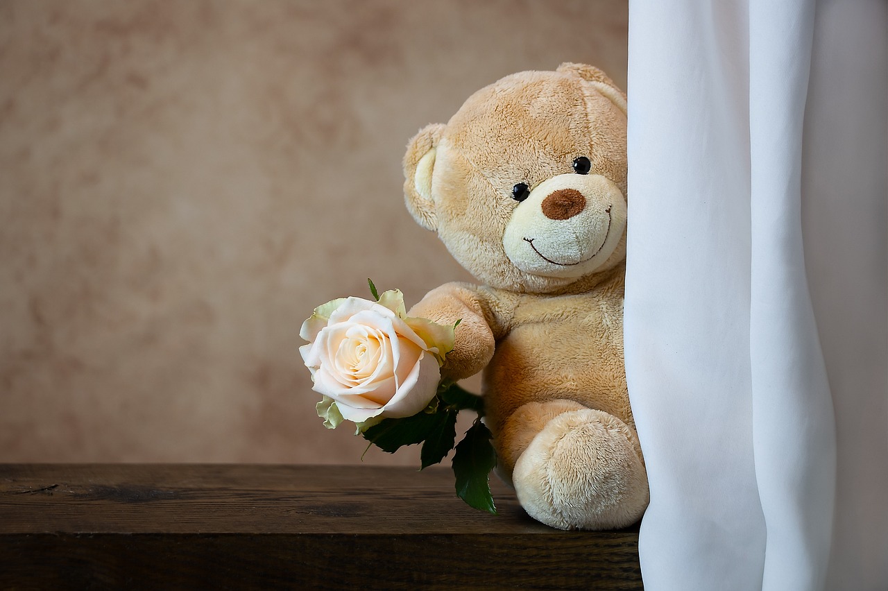 rose, teddy bear, teddy